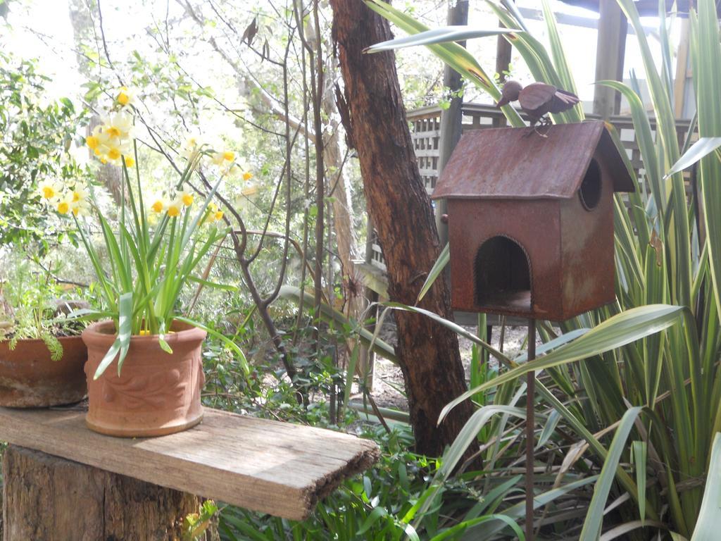Astley Cottage Daylesford Camera foto