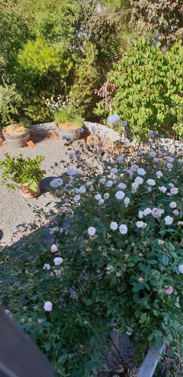 Astley Cottage Daylesford Esterno foto