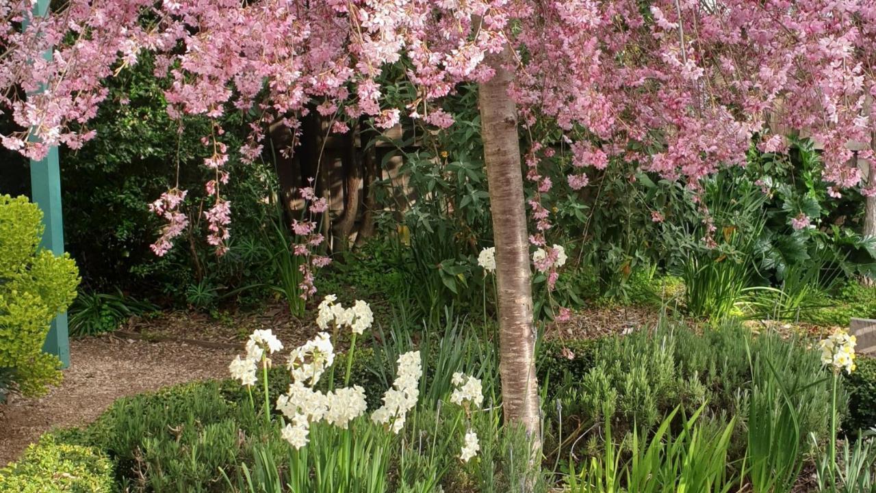 Astley Cottage Daylesford Esterno foto