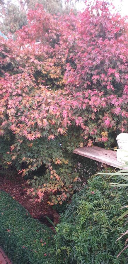 Astley Cottage Daylesford Esterno foto